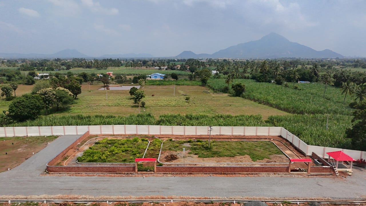 Project Image 11: Plot overview