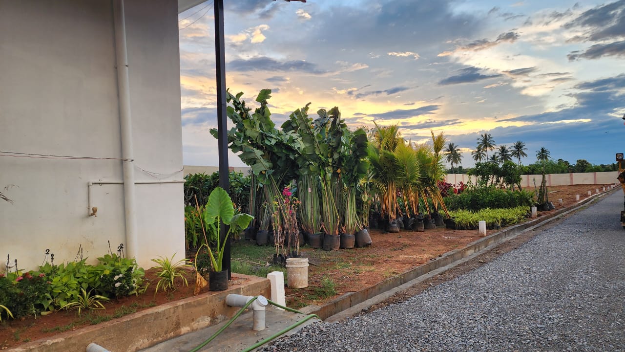 Project Image 14: Site plan