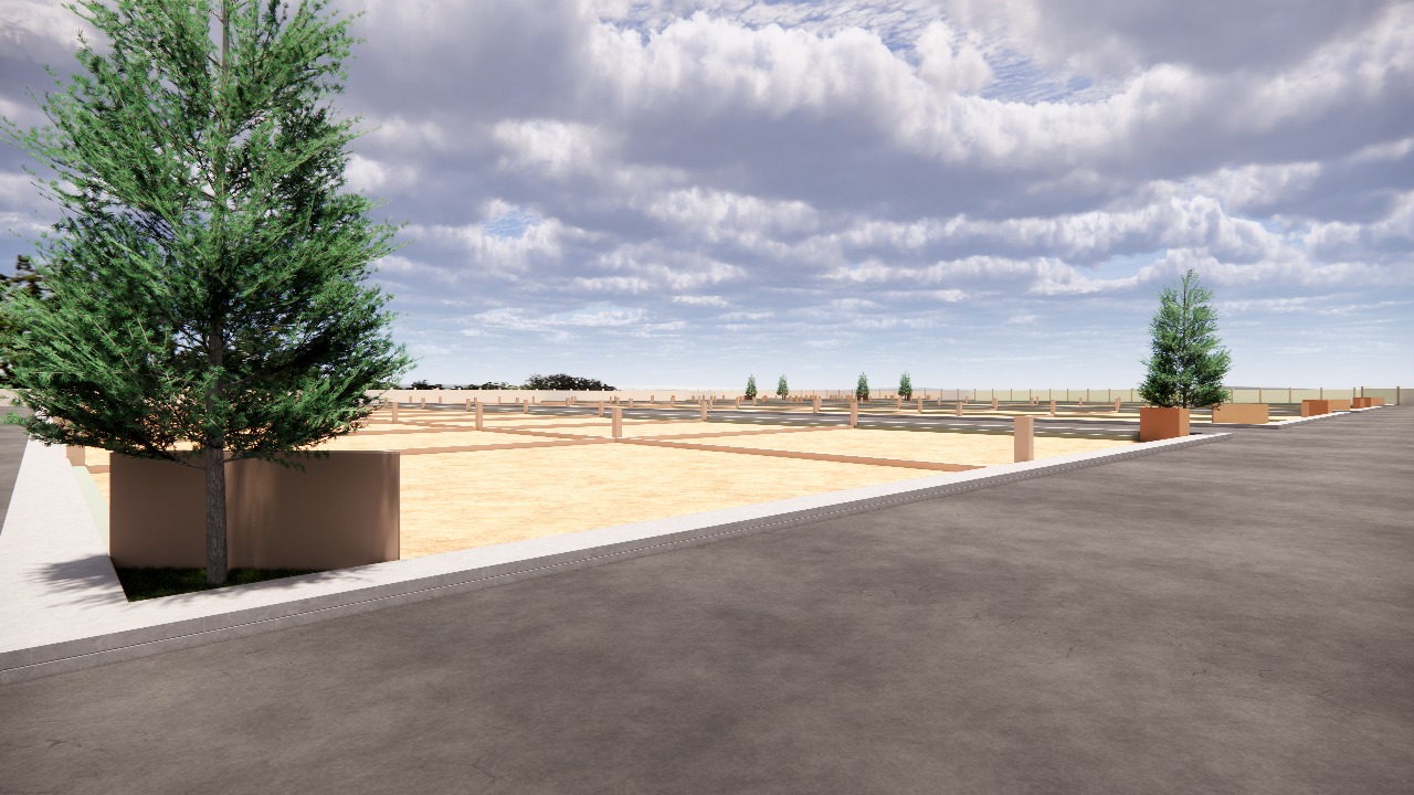 Project Image 3: Avenue trees